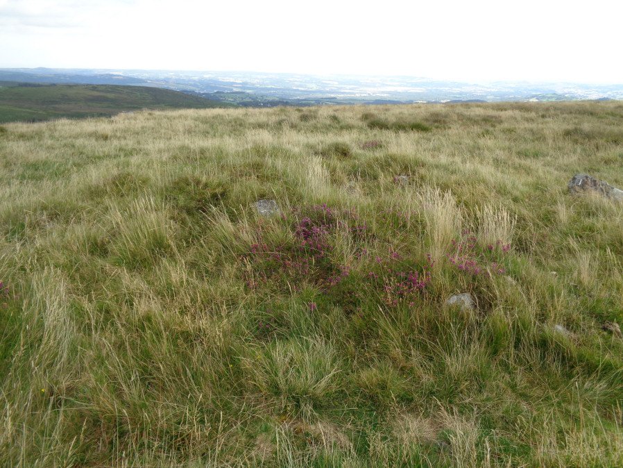 Rippon Tor 3 Reported Cist