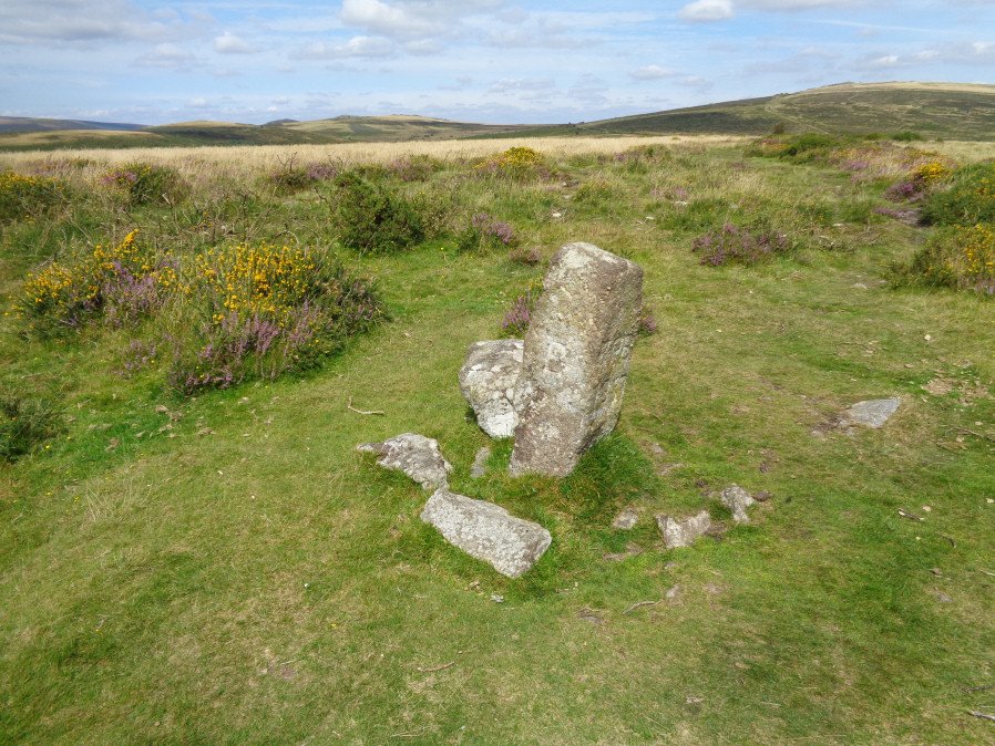 Buckland Common 2 Reported Cairn