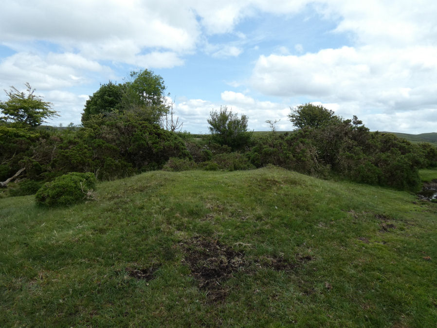 Riddon Corner Reported Cairn