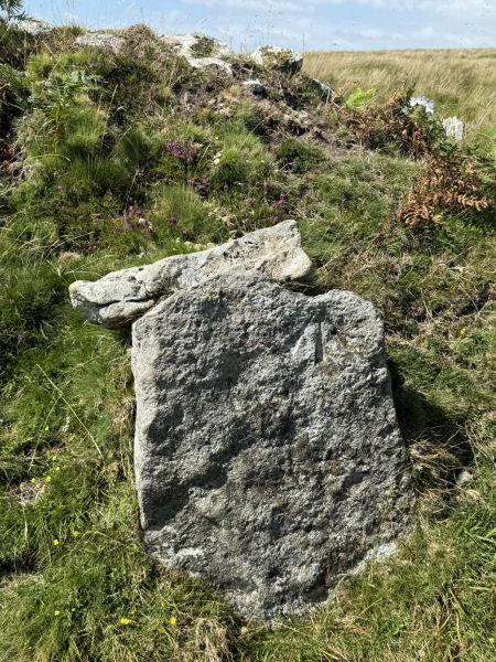 Black Tor (Stanlake) Stone Row