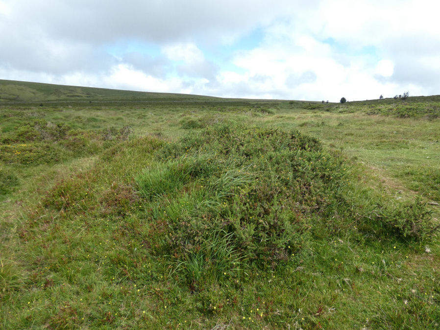 Stannon Newtake W. Cairn