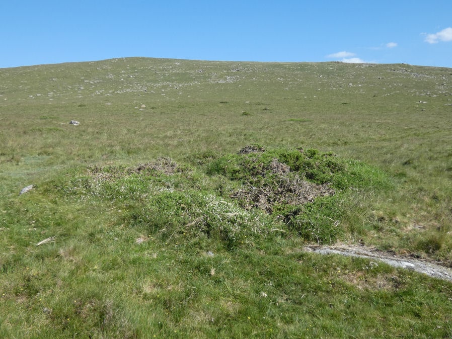 Sourton Row S Cairn