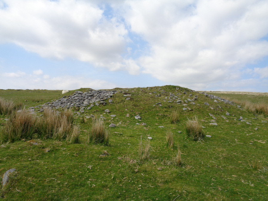 Drizzlecombe 18 Cairn