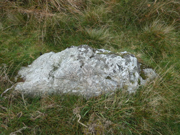 Butterdon East Stone Row