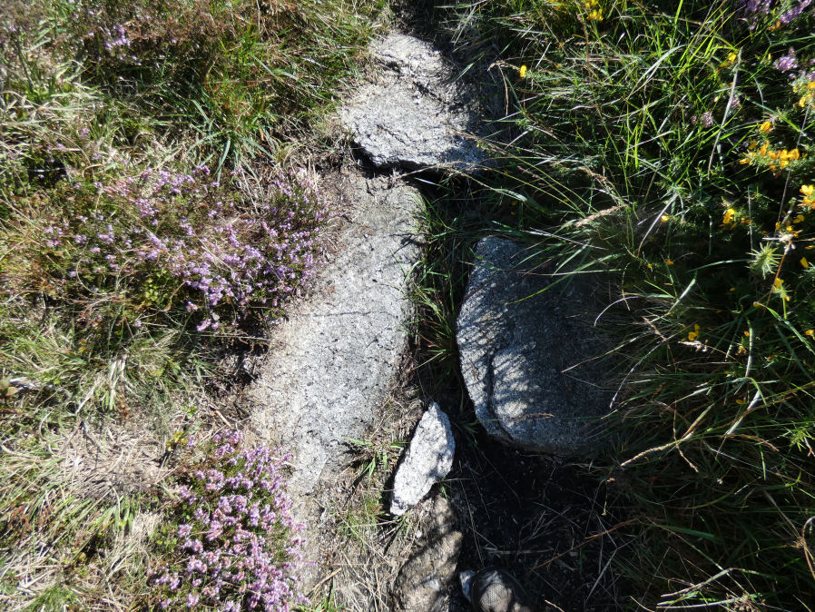 Bellever Tor (site of) Reported Cist