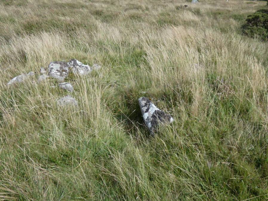 Sharpitor E.1 Cairn Circle & Cist