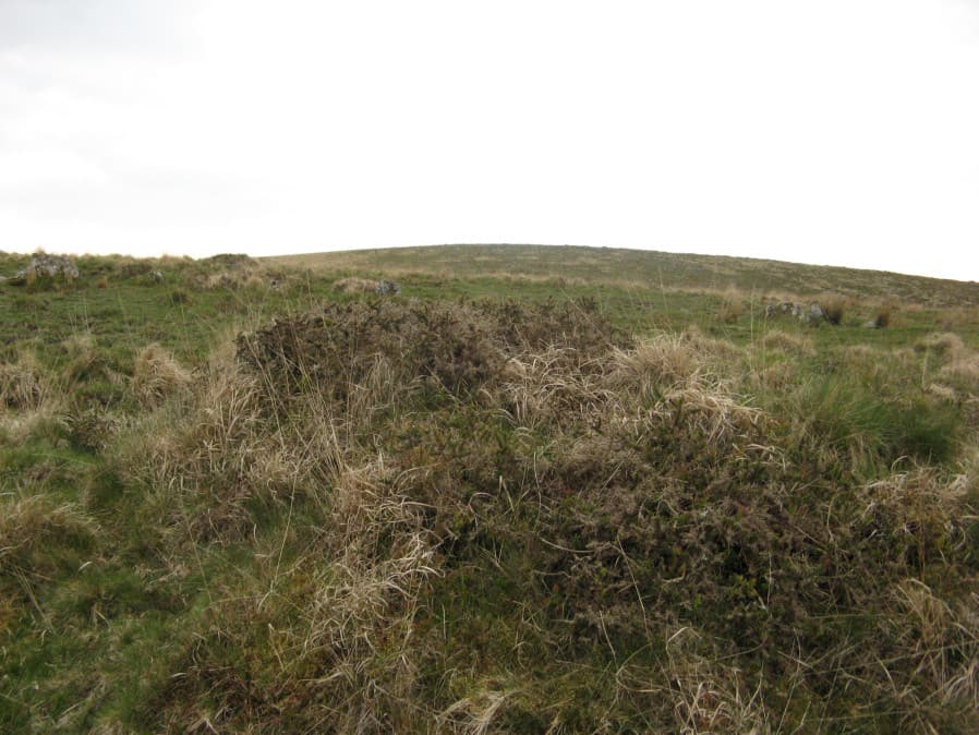 Hart Tor (SW of) Reported Cairn