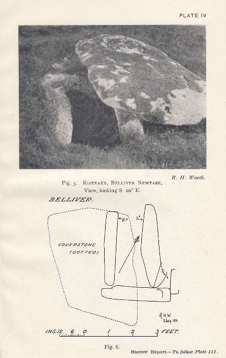 Bellever Tor 1 (W) (Newtake) Platform Cairn Circle and Cist