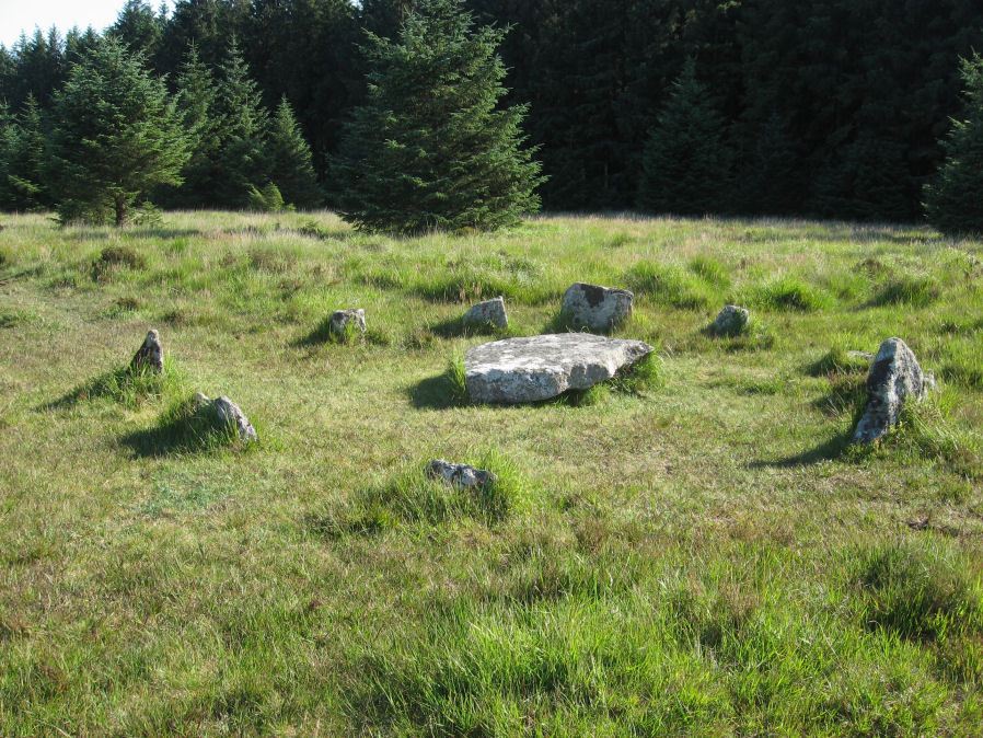 Lakehead Hill 6 (Newtake) Ring Setting Cairn and Cist