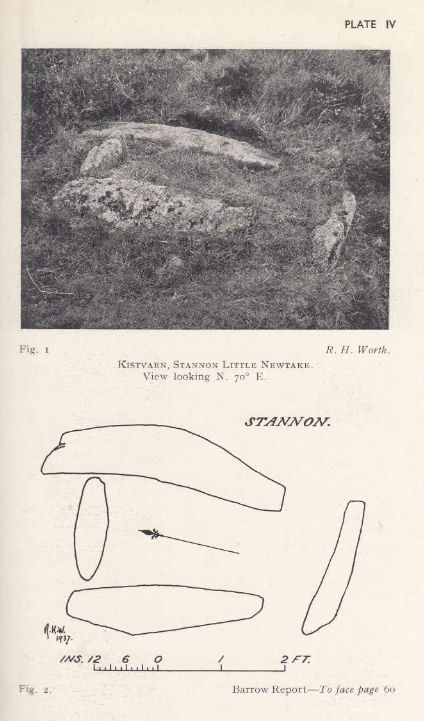 Stannon Little Newtake Ring Setting Cairn and Cist