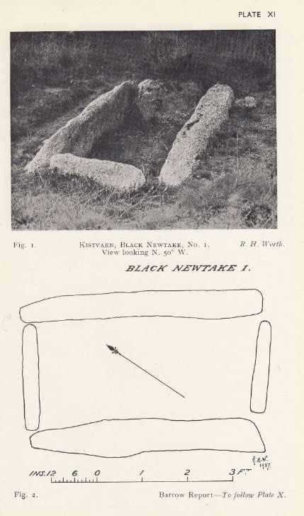 Black Newtake (N) No. 1 Ring Setting Cairn and Cist