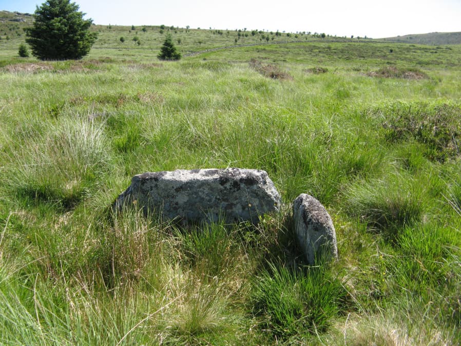 Black Newtake (C) No. 3 Ring Setting Cairn and Cist