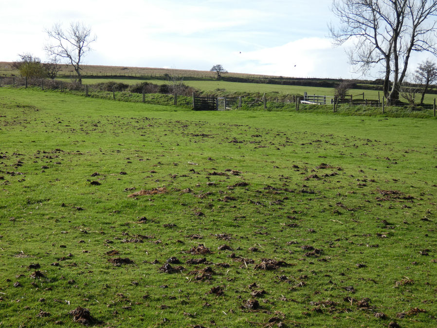 East Bowden 2 Reported Cairn