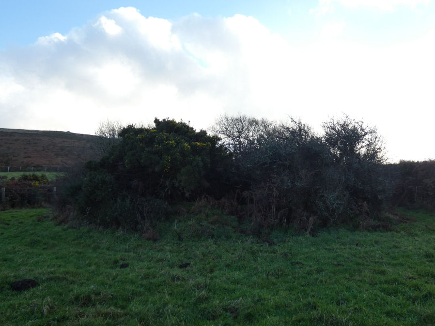 Langdon Cairn