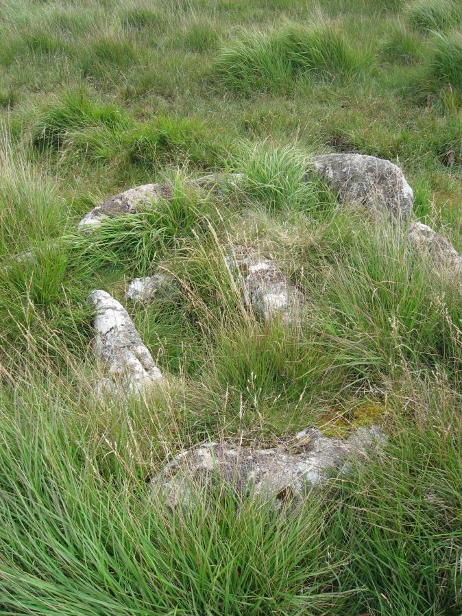 Goldsmith's Cross E.2. Ring Setting Cairn and Cist