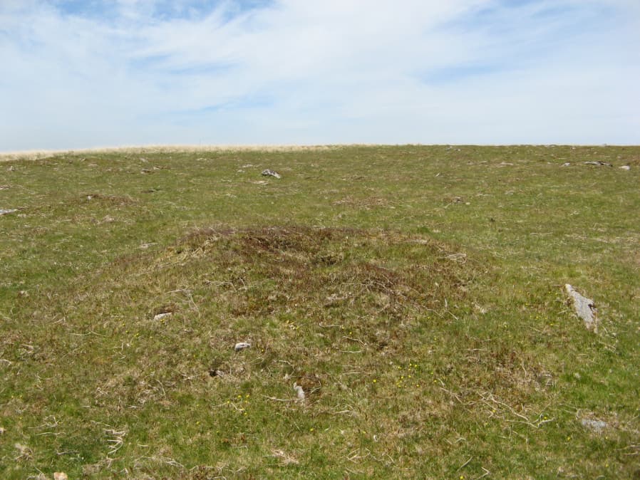 Drizzlecombe 23 Reported Cairn
