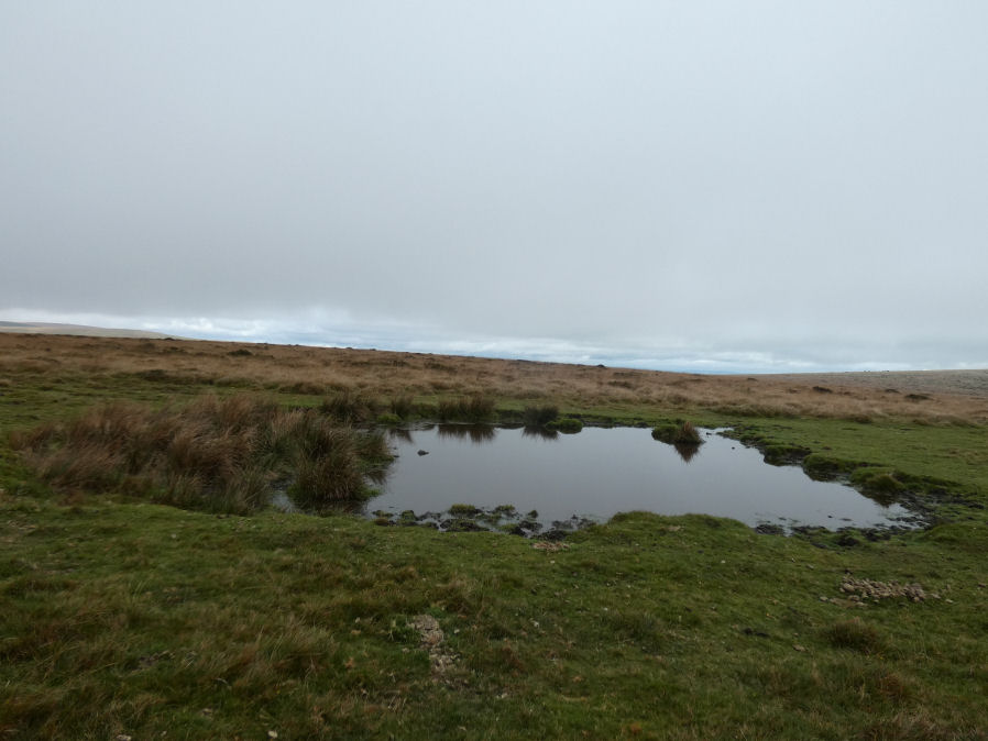 Butterdon (ENE) Ancient Pool
