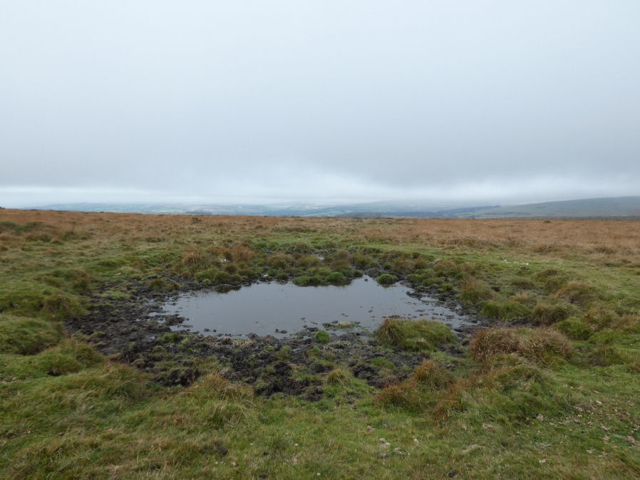 Weatherdon Hill Ancient Pool