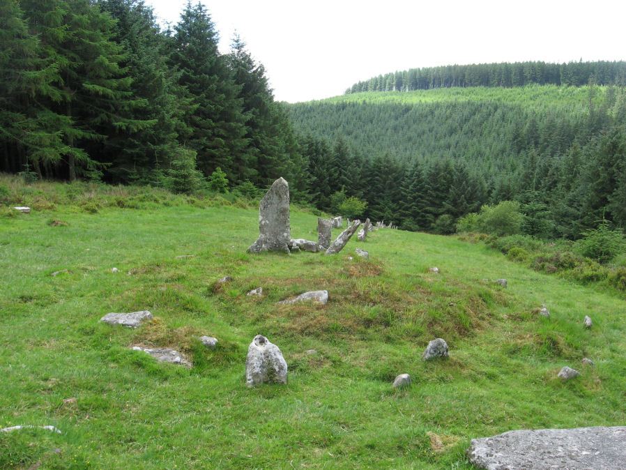 Assycombe Hill Encircled Cairn and Cist