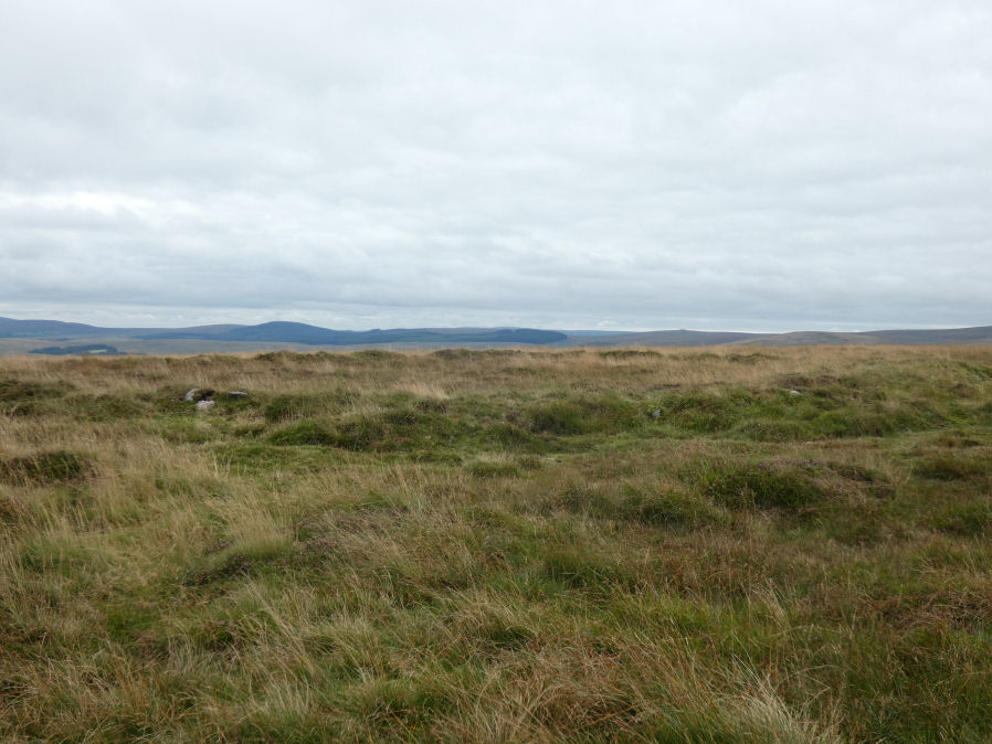 Cosdon Beacon East Stone Ring Cairn Circle 