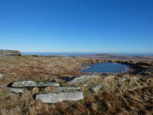 High Willhays (N) Stone Ring Cairn Circle 