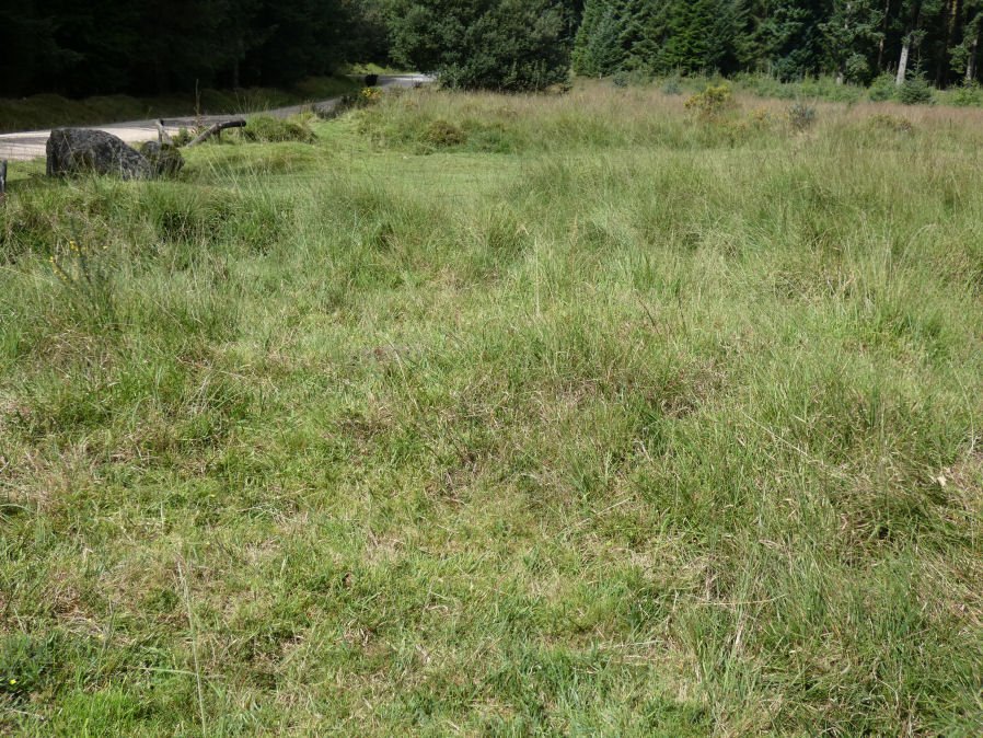 Fernworthy Barrow C Cairn