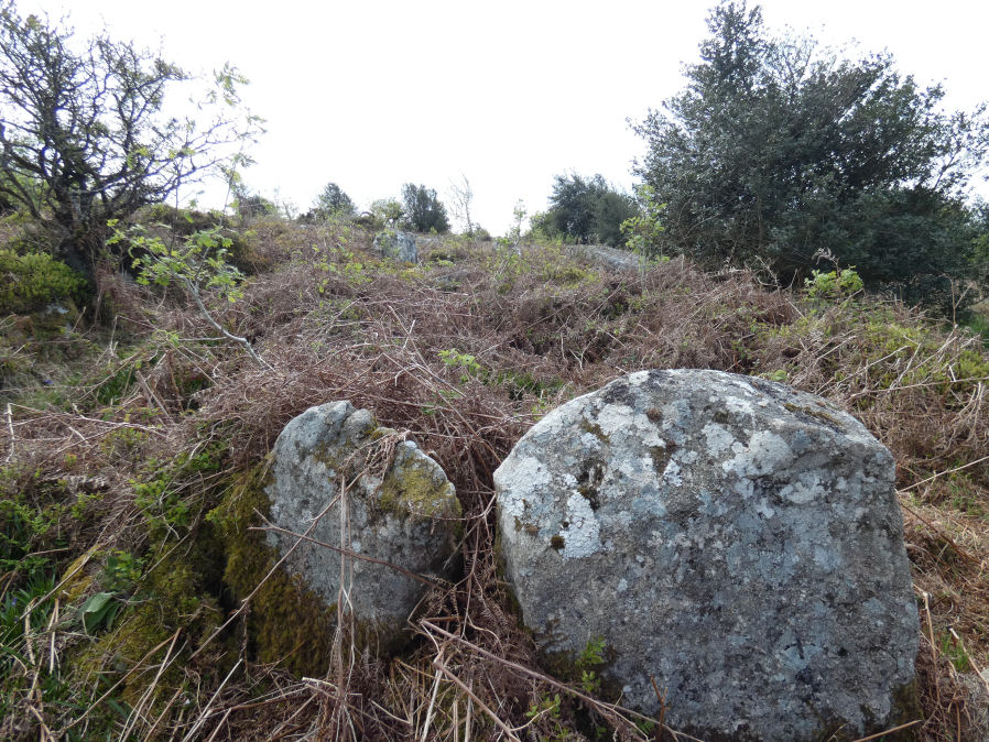 Hayne Down Round House