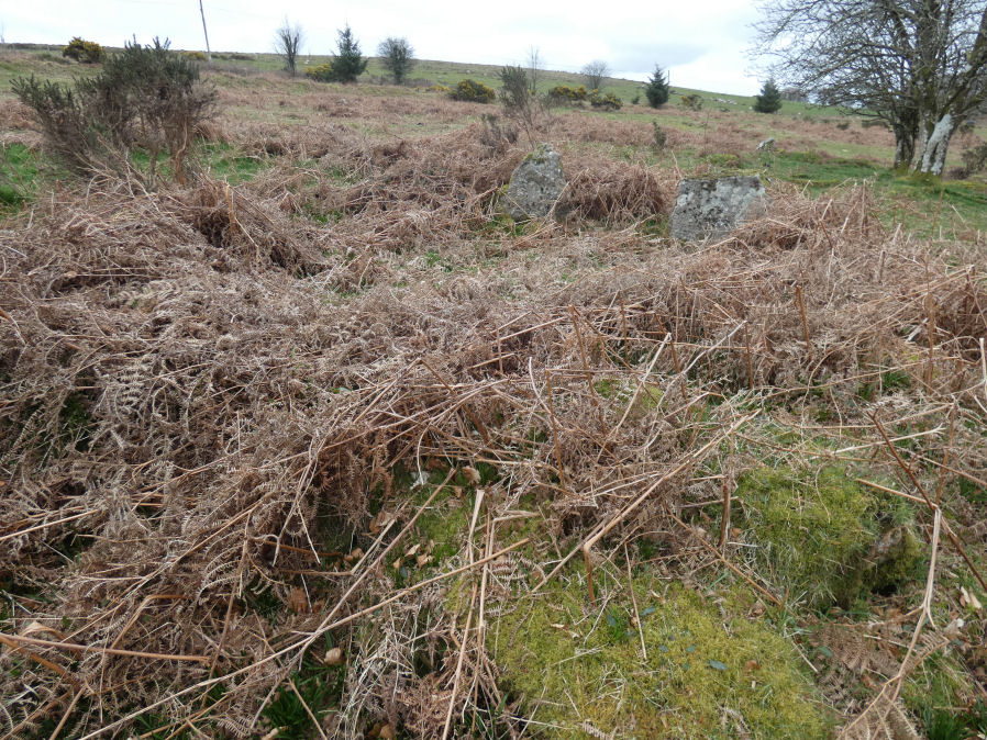 Heatree Down House 2 Round House