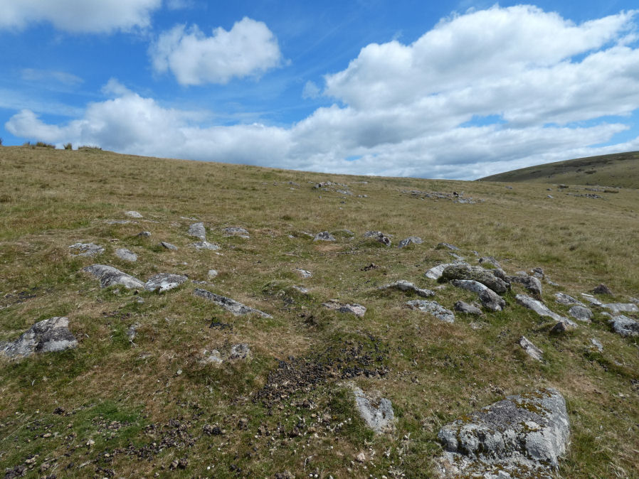 Langstone Moor Round House