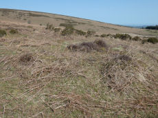 Hamel Down N.E. row Cairn