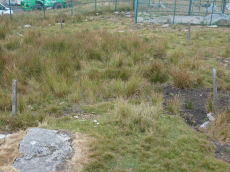 North Hessary Tor 1 Cairn