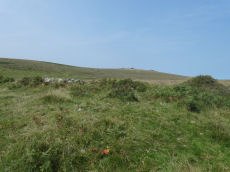 Black Tor 1 stone row Cairn