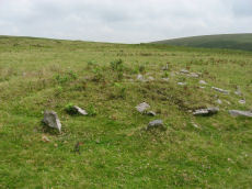 Drizzlecombe (W) Encircled Cairn