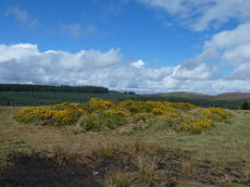 Grendon Farm Cairn