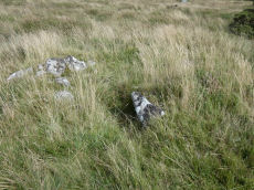 Sharpitor E.1 Cairn Circle & Cist