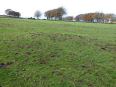 East Bowden 1 Reported Cairn