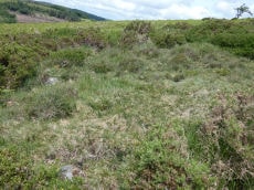 Yar Tor S.W. Reported Cairn