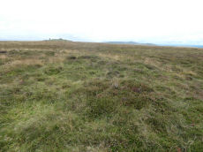 Cosdon Beacon Embanked Cairn Circle and Cist