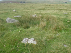 Merrivale Embanked Cairn Circle and Cist