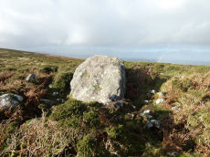 Easdon Hill Stone Ring Cairn Circle