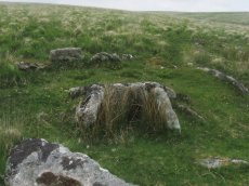 Deadman's Bottom, South Ring Setting Cairn and Cist