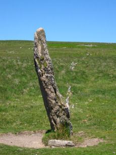 Drizzlecombe N.W. Standing Stone