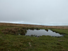 Butterdon (ENE) Ancient Pool