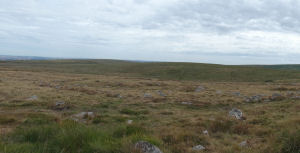 Crad Hole Ring Enclosed Settlement