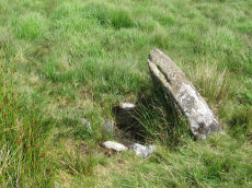 South Teignhead  / White Ridge Stone Ring Cairn Circle 