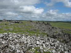 White Tor (Whittor) Neolithic Enclosure