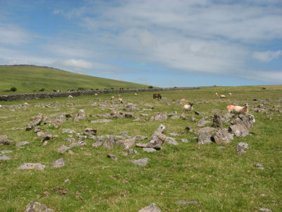 Roos Tor North-West Settlements