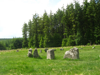 Fernworthy Stone Circle