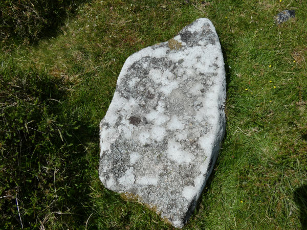 Riddon Ridge S. Cist