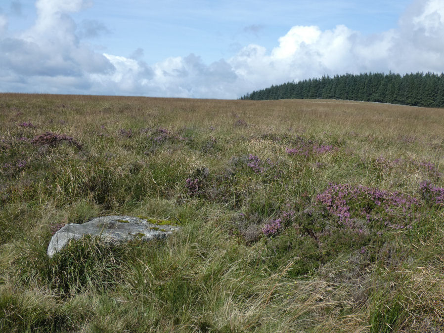 Hurston Ridge Cairn